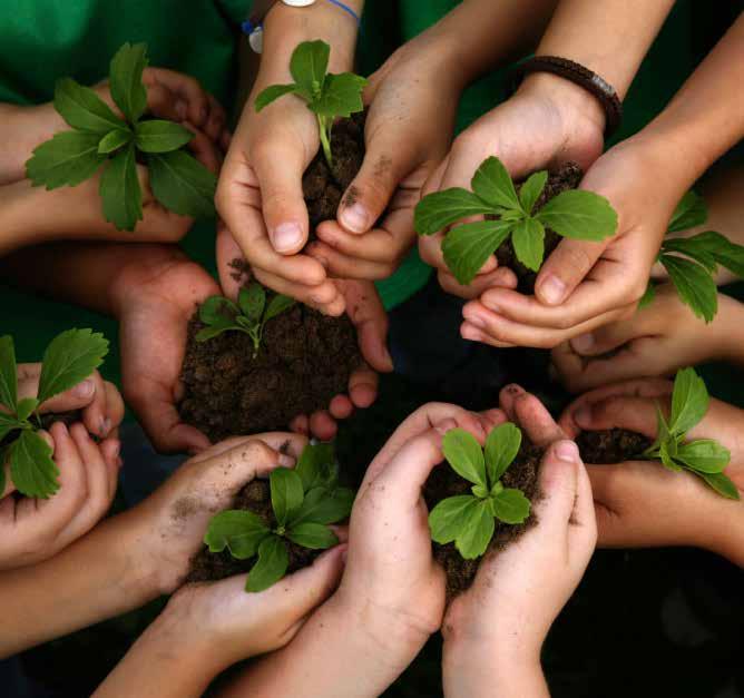 74 75 UNGDOMSVERKSAMHETER HÄR ÄR VÅR PLANTSKOLA!