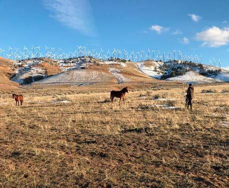 SEGMENT PROJEKTERING WIND WALL I december 2016 förvärvade Eolus 60 procent i projektet Wind Wall i Tehachapi, Kalifornien i USA.