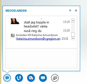 Delta i Skype-möte 4.