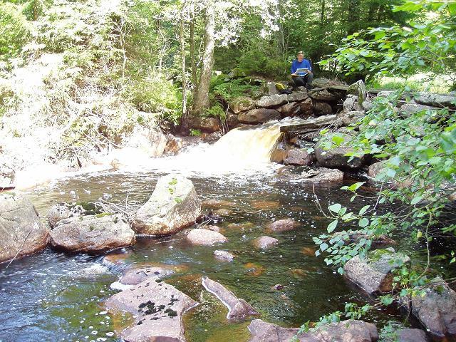 Nr 7. Vandringshinder Kvarndamm Dalen Vandringshindret utgör definitivt vandringshinder för fisk (foto 6). Hindret utgörs av ett stendämme. Fallhöjden är 1 meter och dammhöjden 1,8 meter.