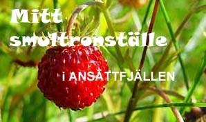 människorna och de omständigheter vi har att brottas med. Här är mitt hem, här är min plats på jorden, här har jag mitt paradis. Ett paradis som det är fascinerande att dela med andra.
