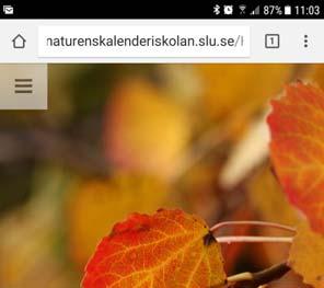 Startsidan - Hemsidan finns på webb adressen http://naturenskalenderiskolan.slu.se/hostforsoket.