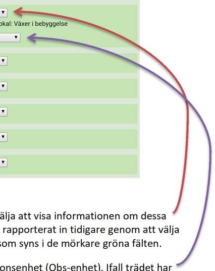 ID, information om det valda trädet, flervalslistan med olika Obs enheter för trädet samt knappar för att skapa en ny Obs enhet