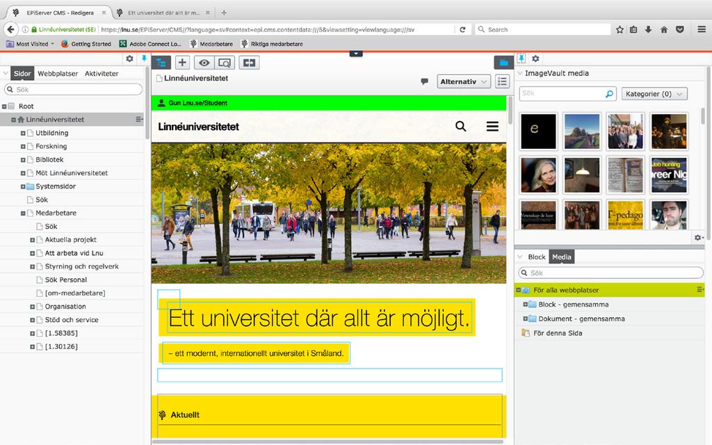 det alltid är synligt.