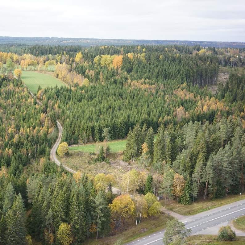 Genomförbarhet Inom det östra området finns större mängder berg jämfört med övriga delområden.