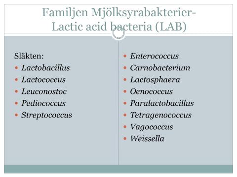 De fem arterna i vänstra spalten är de som används i livsmedelsproduktionen. Vad är bakterier? De är ofta encelliga, procaryouta, och kan uppträda som individer.