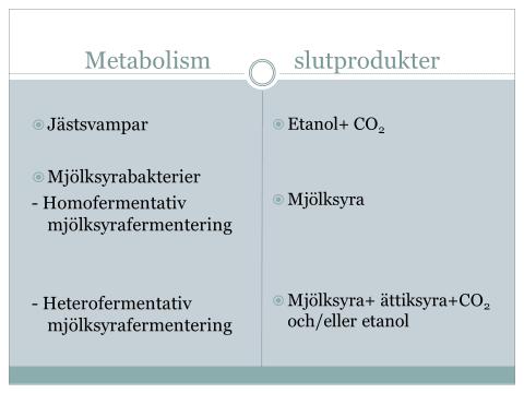 Filmjölk görs av en blandkultur. 75% laktos kvar efter fermentering Yoghurt görs av 2 bakterier i symbios.