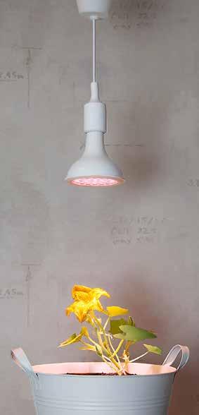 357-33 EAN 7391482021762 E-NR 8292345 L 6 M 120mm N 130mm 1200lm 5000cd 24º 13W E27 220-240VAC PAR38 PROSPER TRIVAS GEDEIHEN GEDEIHEN Die Lampe gibt Licht mit einem angenehmen warmweiss Farbton ab