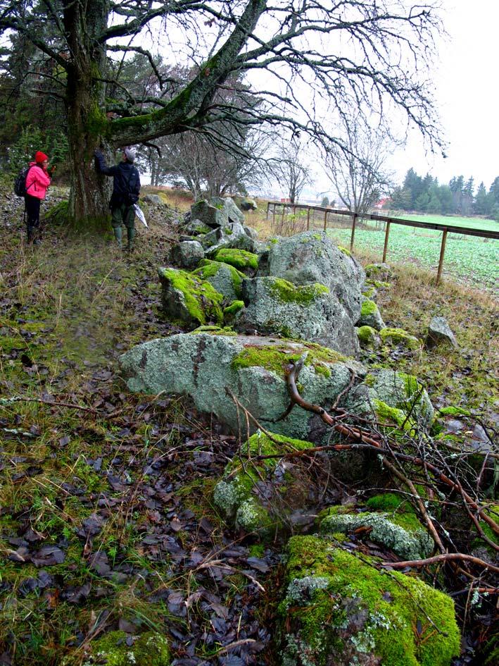 Området som tas i anspråk utgörs av en blockig tallbacke som eventuellt fungerar som övervintringsplats för salamandrarna eftersom det finns markstrukturer som kan gynna dem, såsom hålor och