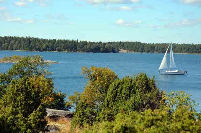 Bina flyger till andra öar för att hämta mat. På Kyrkogårdsskär i Gryts skärgård på östkusten odlas det bin. Odlaren heter Anders Ridderström.