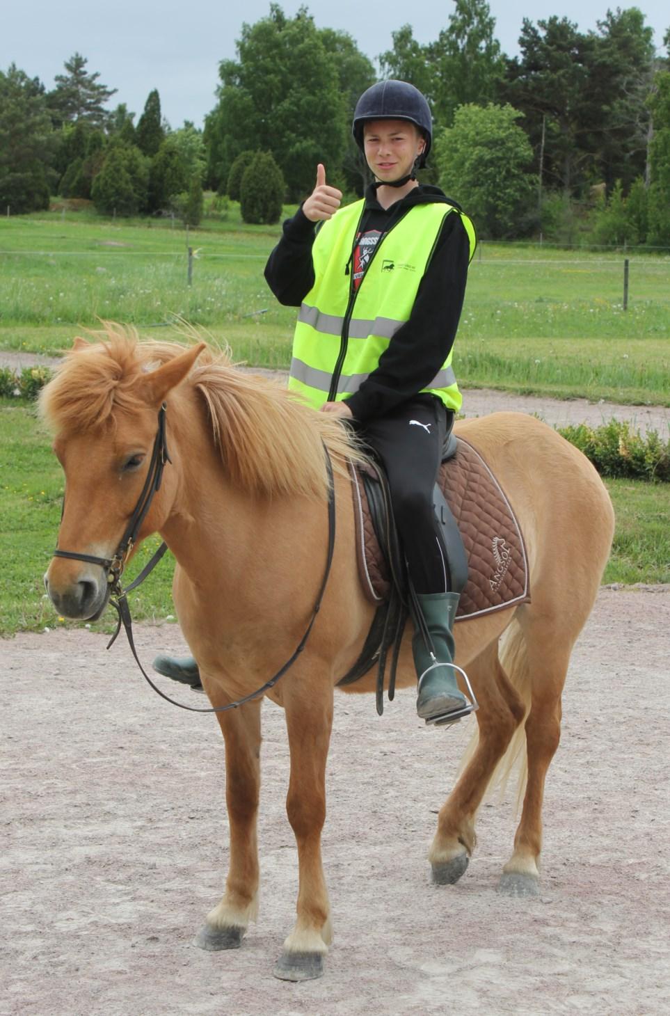 Sida 11 Ma/No-hajk år 7 Det har varit mycket hajkande på Viksängsskolan den senaste tiden. I förra veckan var våra Ma/NOsjuor på vårhajk på Ängsö under ett dygn.