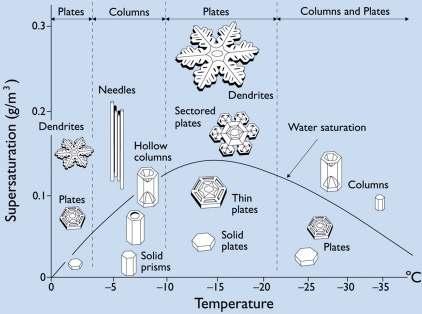 2. Snöteori 2.1 Vad är snö? Snö är fuktighet i fast form, uppbyggd av snökristaller. Kristallerna kan uppträda som plattor, prismor, stjärnor osv.