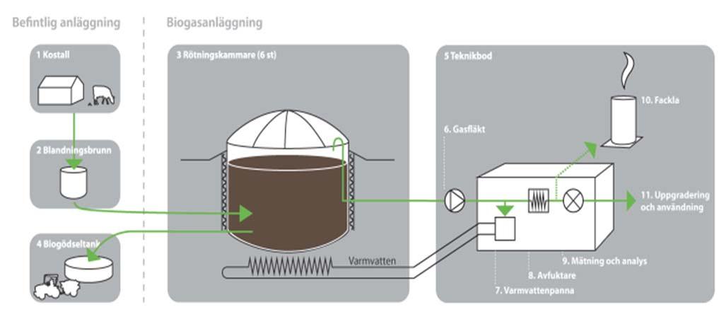 2 Verksamhetsbeskrivning 2.1 Allmänt om Vikens biogasanläggning Viken Biogas i Falköping är ett samarbete mellan Nötcenter Viken och Göteborg Energi.