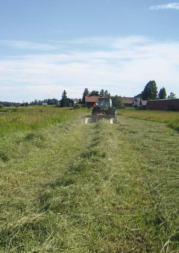 28 KLIMATFÖRÄNDRINGAR I NORRBOTTENS LÄN JORDBRUK 29 6 Jordbruk 6.