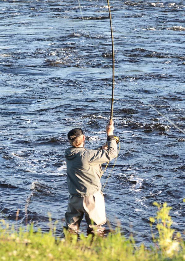 76 KLIMATFÖRÄNDRINGAR I NORRBOTTENS LÄN REKREATIONSFISKE 77 11 Rekreationsfske Norrbottens vattenområden erbjuder goda möjligheter för fritidsfske, där vackra miljöer och intressanta arter fnns att