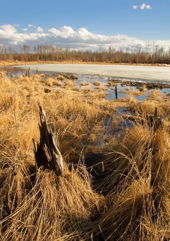 84 KLIMATFÖRÄNDRINGAR I NORRBOTTENS LÄN SLUTSATSER KLIMATFÖRÄNDRINGAR, EKOSYSTEMTJÄNSTER OCH EFFEKTER PÅ AREELLA NÄRINGARNA 85 13 Slutsatser klimatförändringar, ekosystemtjänster och efekter på