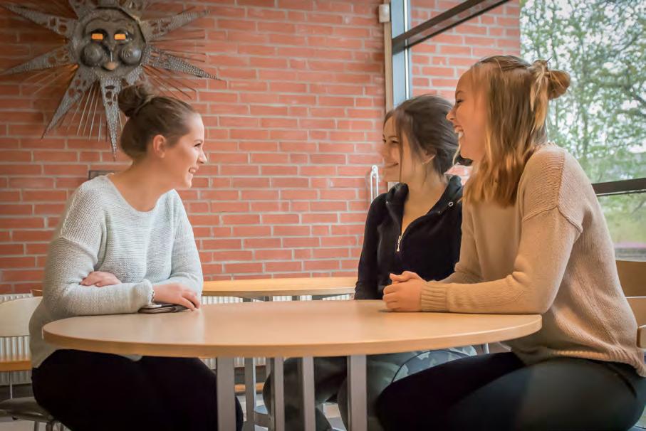 Våra elever besöker Stockholm för att på plats studera de politiska institutionerna. Resor till Bryssel eller deltagande i EU-projekt görs för att konkret ge ett internationellt perspektiv.