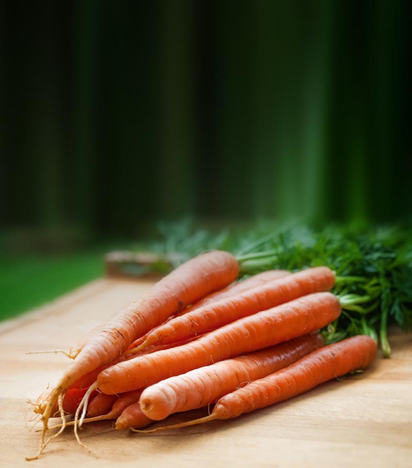 Grönsaker och bär Livsmedelssäkerhet Genom att ställa krav på skriftlig beskrivning av egenkontrollen kan man uppmärksamma sådana produktionsförhållanden som försäkrar inhemska produkters