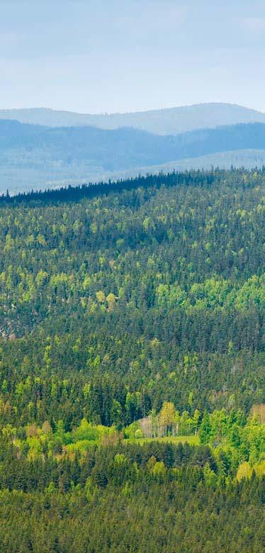 Växter tar upp kväve i form av nitrat-och ammoniumjoner som frigörs när dött organiskt material bryts ner, men i vårt relativt kalla klimat går den naturliga nedbrytningen långsamt.
