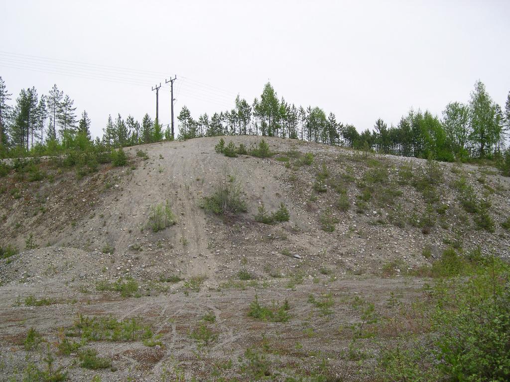 Figur 12. En delvis igenrasad slänt, på Bjästamon cirka 400 meter norr om Karlsmo, uppvisar över 12 meter sandigt isälvsgrus. Foto: Johan Norrlin. svallsandsfält med tydliga strandvallar.