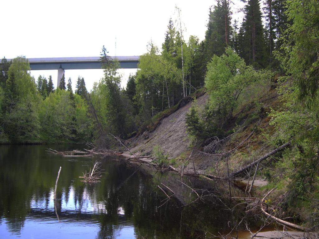 Figur 15. Nipa med aktiv erosion något uppströms Botniabanans bro över Nätraån. Foto: Johan Norrlin. högst sannolikt hade påverkat massbalansen i slänten på ett negativt sätt.