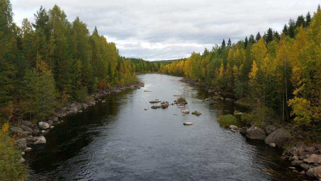 Sida 47 av 113 Figur 6. Ljungan strax nedströms sjön Aldern och ålhuset i Albybyn.