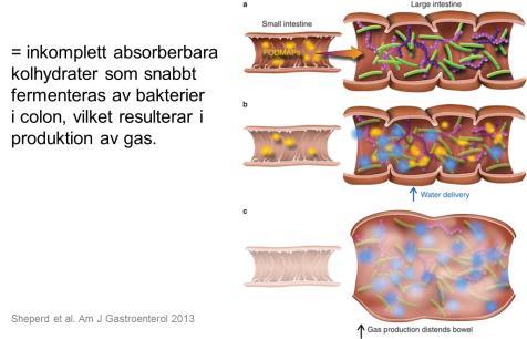 Kraftigare rörelsemönster i tarmen efter måltid Kan inte göra sig av med gas som
