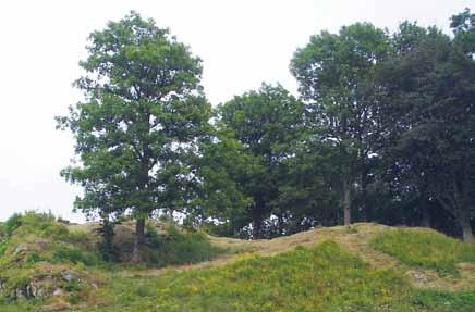 Dynge ruin Dynge ruin är en tämligen oansenlig kulle mellan Skredsvik och Gullmarsbergs säteri.