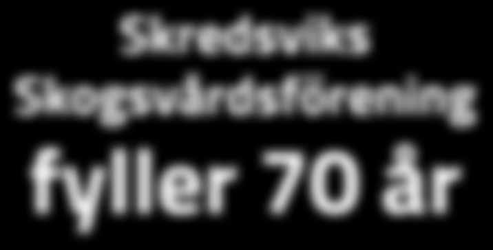 Det var inga jättesummor men det fungerade ändå som en uppmuntran.