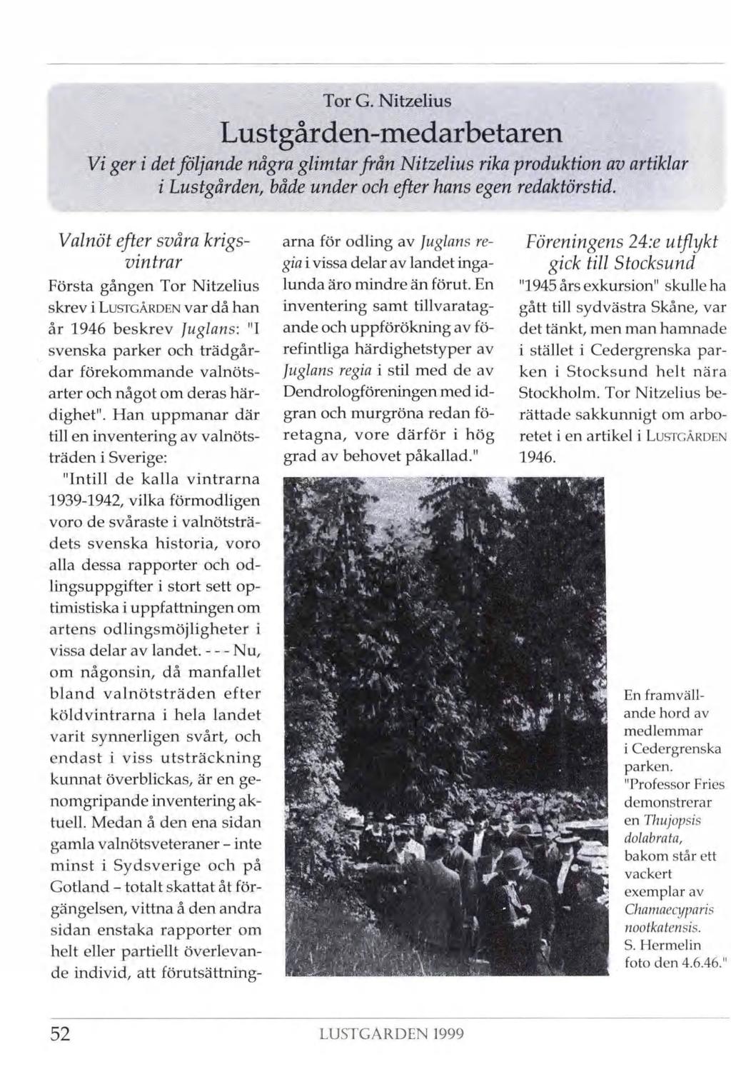 Tor G. Nitzelius Lustgården-medarbetaren Vi ger i det följande några glimtar från Nitzelius rika produktion av artiklar i Lustgården, både under och efter hans egen redaktörstid.