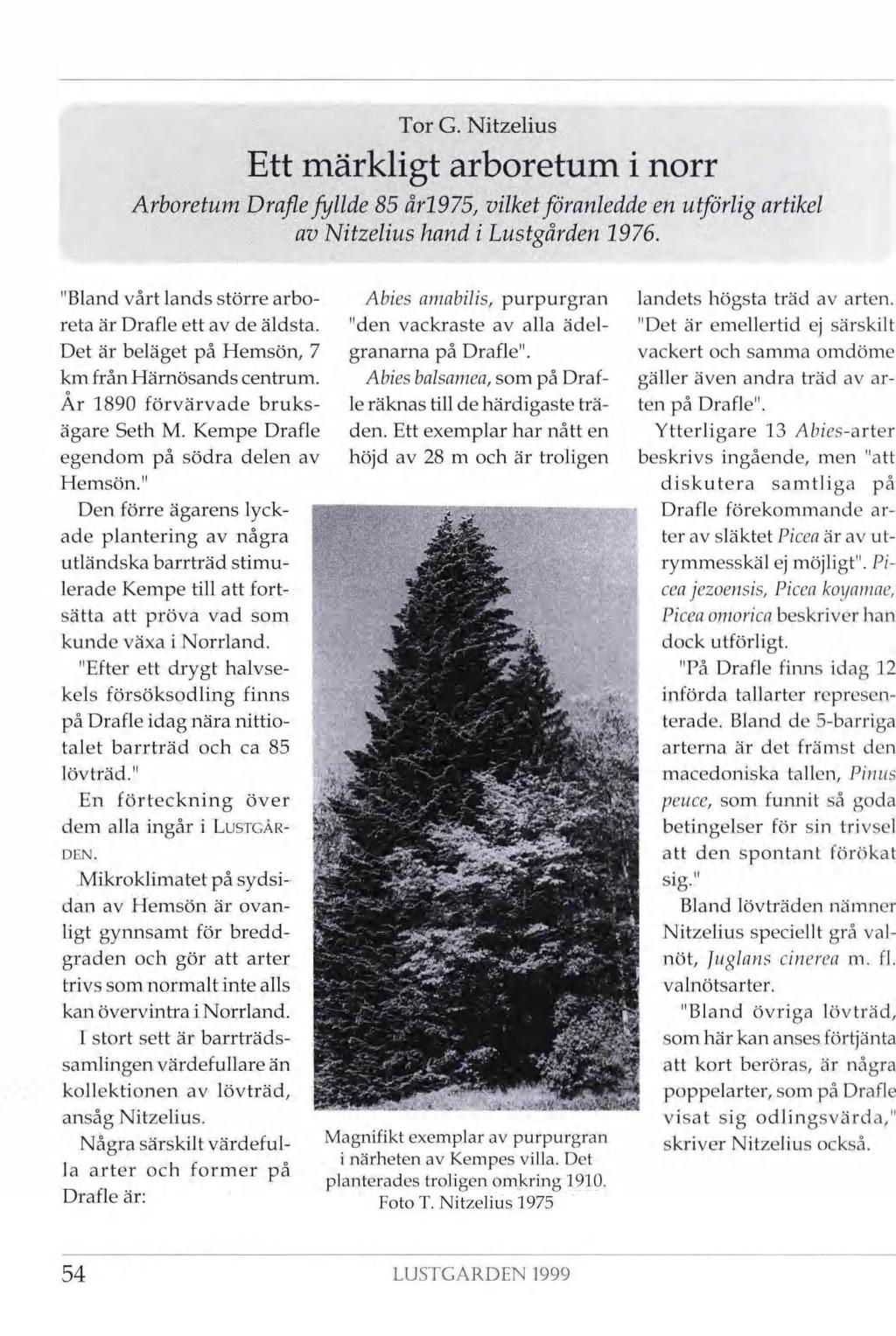 Tor G. Nitzelius Ett märkligt arboretum i norr Arboretum Drafle fyllde 85 årl975, vilket föranledde en utförlig artikel av Nitzelius hand i Lustgården 1976.