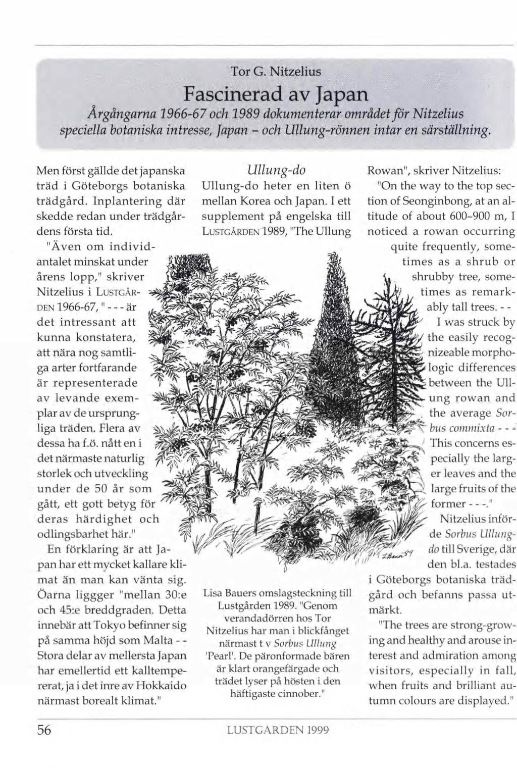 Tor G. Nitzelius Fascinerad av Japan Årgångarna 1966-67 och 1989 dokumenterar området för Nitzelius speciella botaniska intresse, Japan - och Ullung-rönnen intar en särställning.