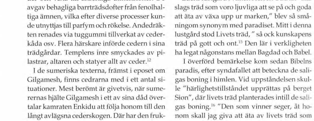 11 Dessa städse gröna barrträd kunde nå hög ål der och växa till ansenliga dimensioner.