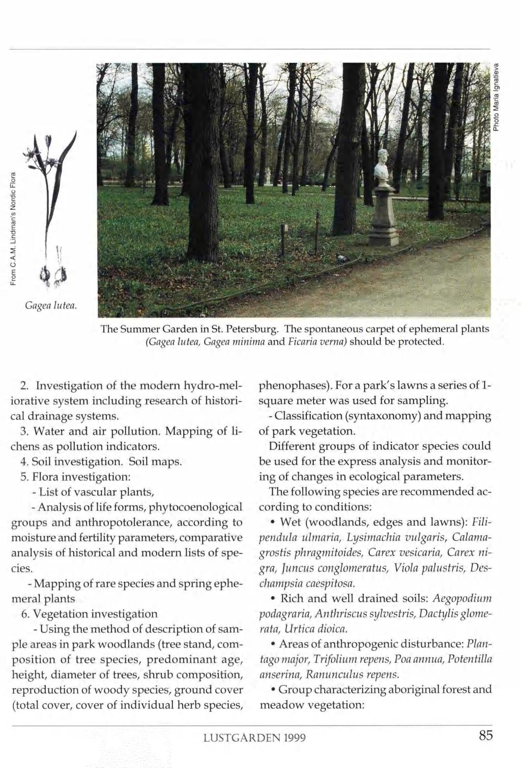 IPI : ï, B:'* 1 s I SI» I 'ÿ H ft-: Ml PP #: " Gagea lutea. HH The Summer Garden in St. Petersburg.