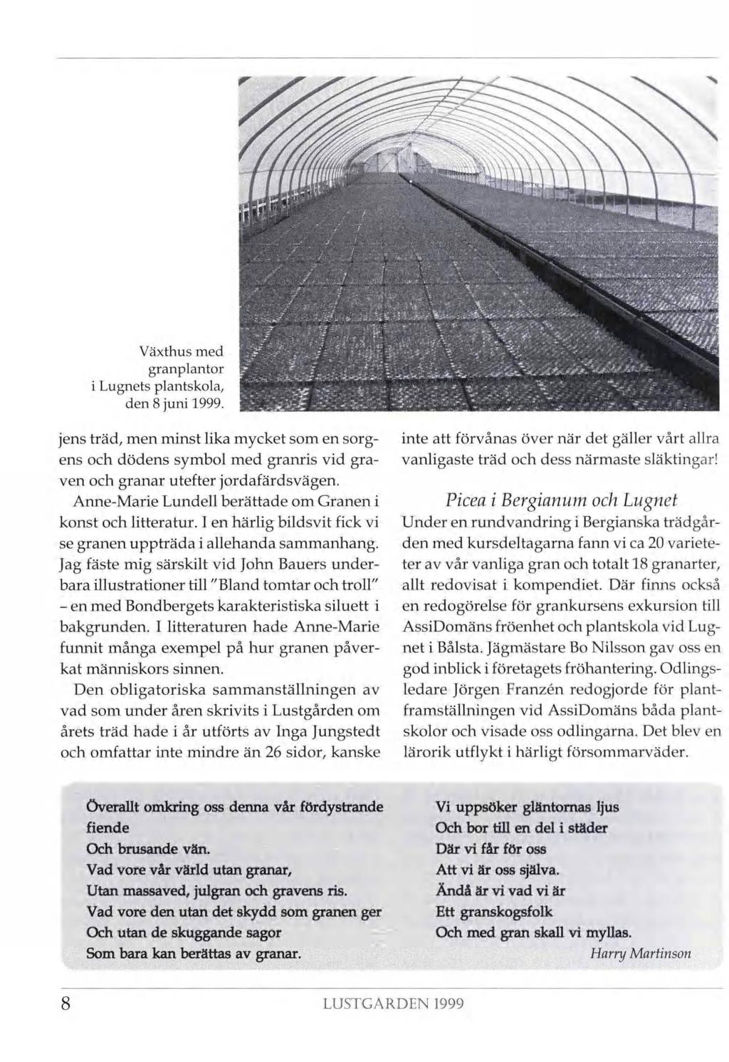 m r -, Växthus med granplantor i Lugnets plantskola, den 8 juni 1999. jens träd, men minst lika mycket som en sorg ens och dödens symbol med granris vid gra ven och granar utefter jordafärdsvägen.