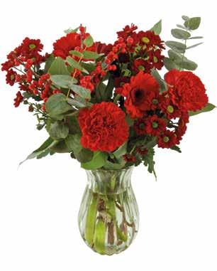 Ord. pris 69,95 59 95 Amaryllis