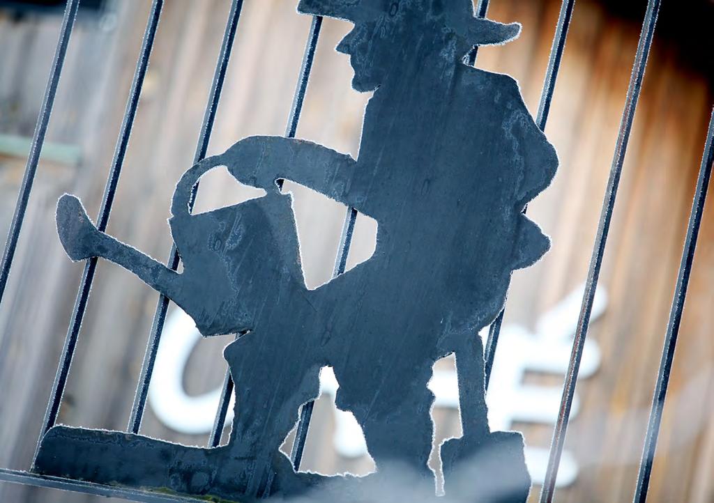 Gräsfrö, gödsel, uppbindning & emballage Gräsfrö Vi erbjuder gräsfröblandningar i säck om 20 kg. I första hand rekommenderar vi nedanstående men offererar gärna även andra blandningar.