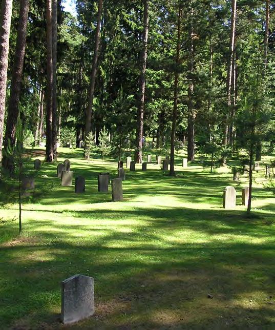 Genom åren har det blivit många sorter som Billbäcks varit inblandad i utvecklingen av.