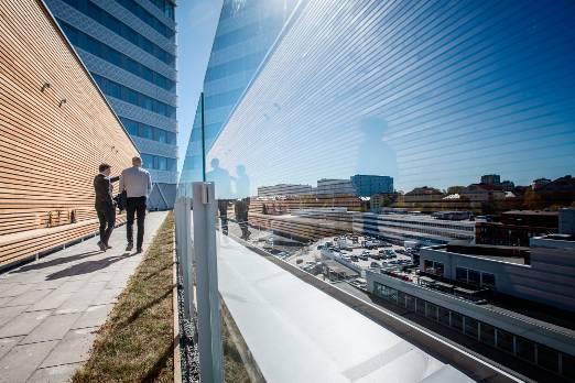En bit av det slingriga stråket i taklandskapet. Foto: Adam Wrafter Bild 3 av 11 Soligt taklandskap ska övertyga anställda En bit av det slingriga stråket i taklandskapet.