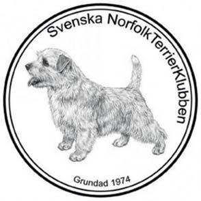 Noffevalp. Livet med en noffe Att skaffa en norfolkterriervalp skiljer sig inte från andra raser, det gäller att vara väl förberedd och införstådd med vad det innebär att få en valp att ansvara för.