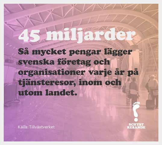 personal, respekt för mänskliga rättigheter och motverkande av korruption.