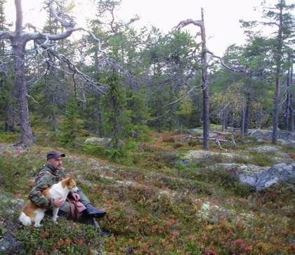 SSF Nedre Norrbotten inbjuder till Familjedag i Älvsbyn Så var det dags för den årliga familjedagen som 2006, liksom förra året, anordnas på Bergvattnets fi skecamp utanför Älvsbyn.