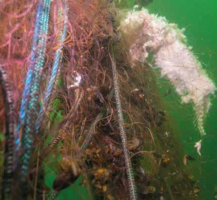 Spökgarnen fångar fisk i onödan. Foto: Anders Nordgren Ett annat vanligt skräp i haven är spökgarn.