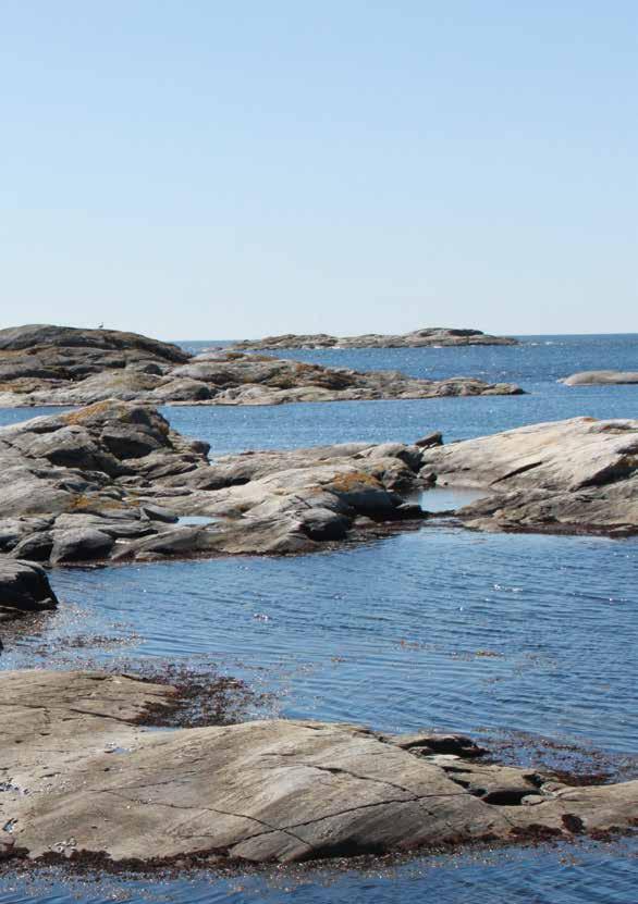 uppskattas komma från havet. 19 Hela 8000 kubikmeter skräp spolas upp varje år på den bohuslänska kusten, men detta är bara en bråkdel.