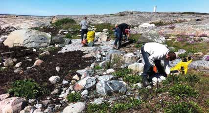 Strandstädning på västkusten Kommunnätverket Ren Kust framhåller att enskilda kommuner inte kan hantera dessa kostnader och att det rimligen borde finnas ett delat ansvar mellan kommunerna och den