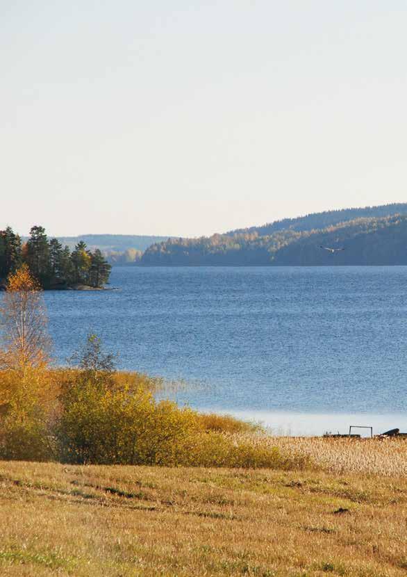 Centrala aktörer inom nedskräpningsområdet Här följer en lista på de centrala aktörerna i Sverige inom nedskräpningsområdet och vilka ansvarsområden dessa har.