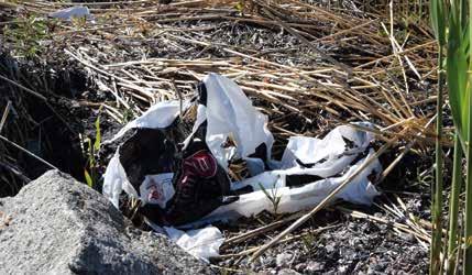Sedan Irland införde en avgift på plastpåsar har konsumtionen av plastpåsar minskat med över 90 procent till 5,5/500 m 64. Dessutom har 18 miljoner liter olja sparats.