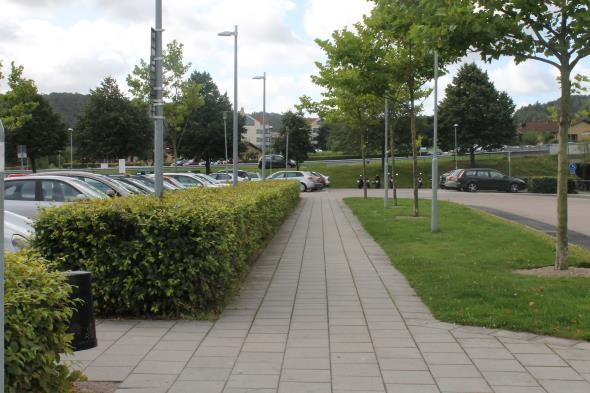 H HÄCKAR Häckarna har stor betydelse när det gäller arkitektoniska värden,