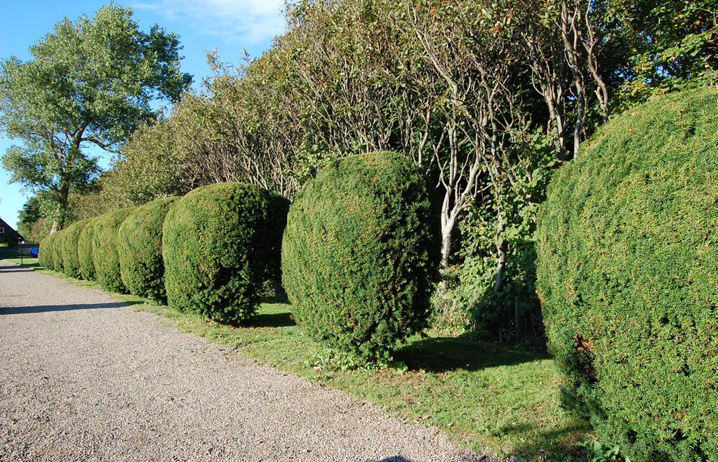 vänster). Det finns ytterligare en ingång i kyrkogårdens nordöstra hörn samt en infart i den västra murens sydligaste del.