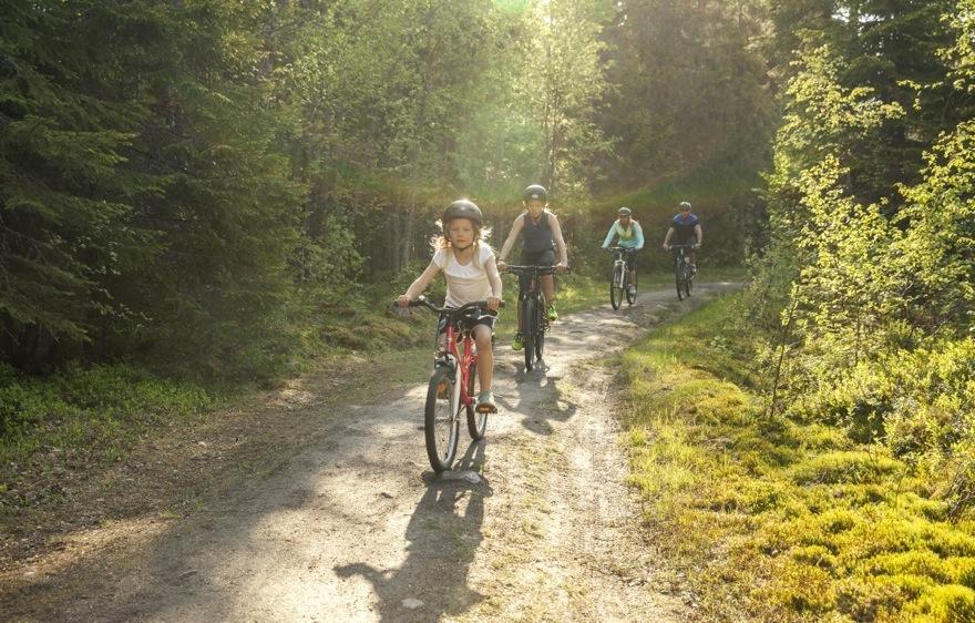 Lands/ngets vision År 2020 har Västerbo)en